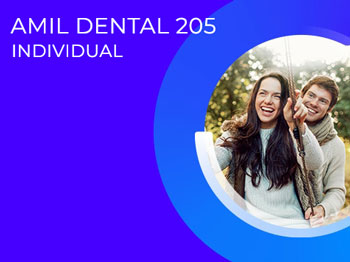 Plano Amil Dental 205 Individual 1